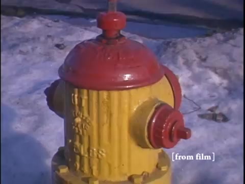 Detail shot emphasizing the hydrant's vivid colors and rugged texture.